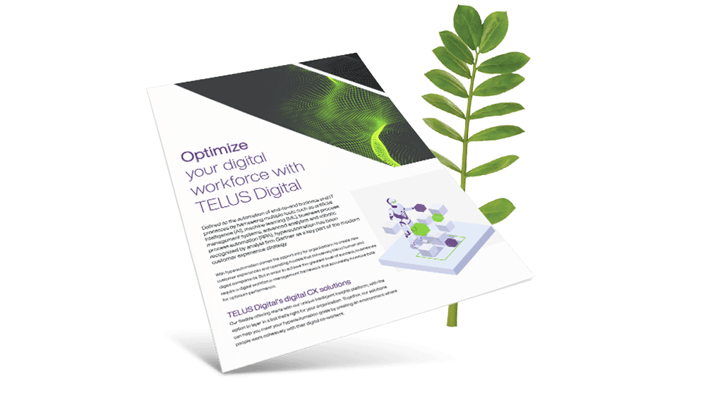 Optimize your digital workforce brochure cover in front of a fern leaf.