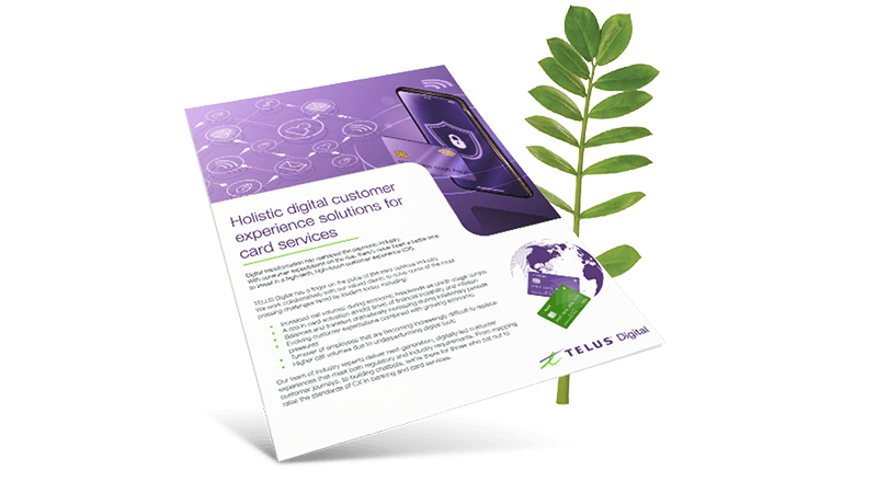 Card Services brochure cover in front of a fern leaf.