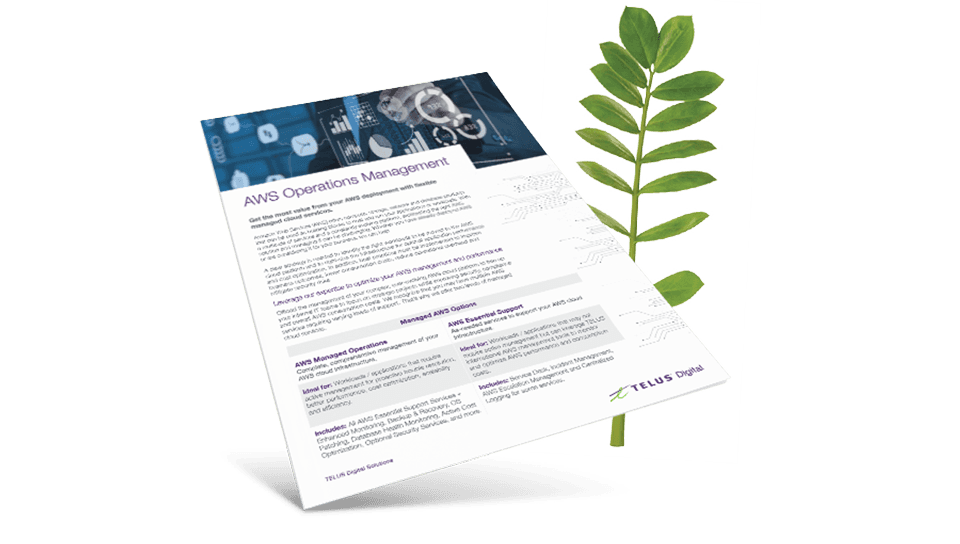 AWS Operations Management brochure cover in front of a fern leaf.