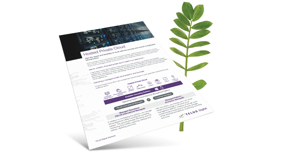 Hosted Private Cloud brochure in front of a fern leaf.