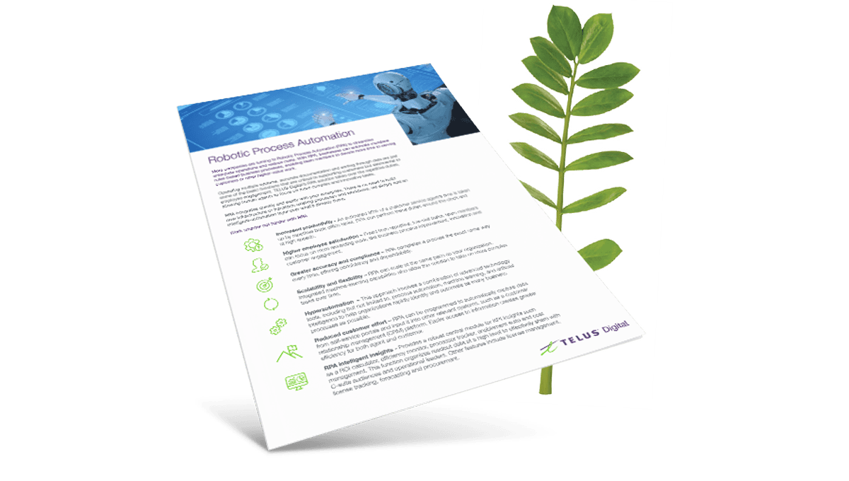 Brochure cover in front of a fern leaf