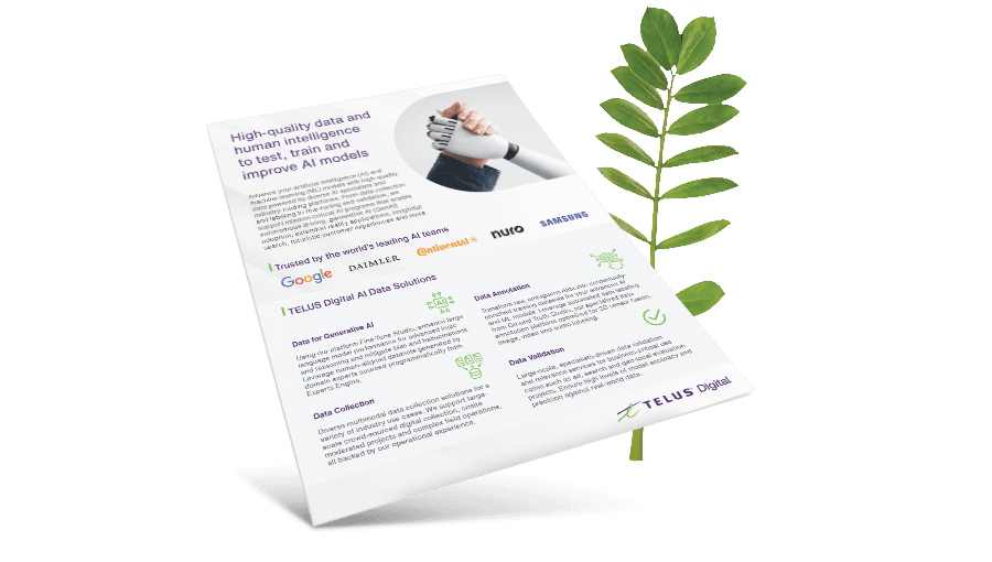 AI Data Solutions brochure in front of a fern leaf.