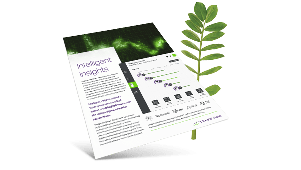 Intelligent Insights brochure cover in front of a fern leaf.