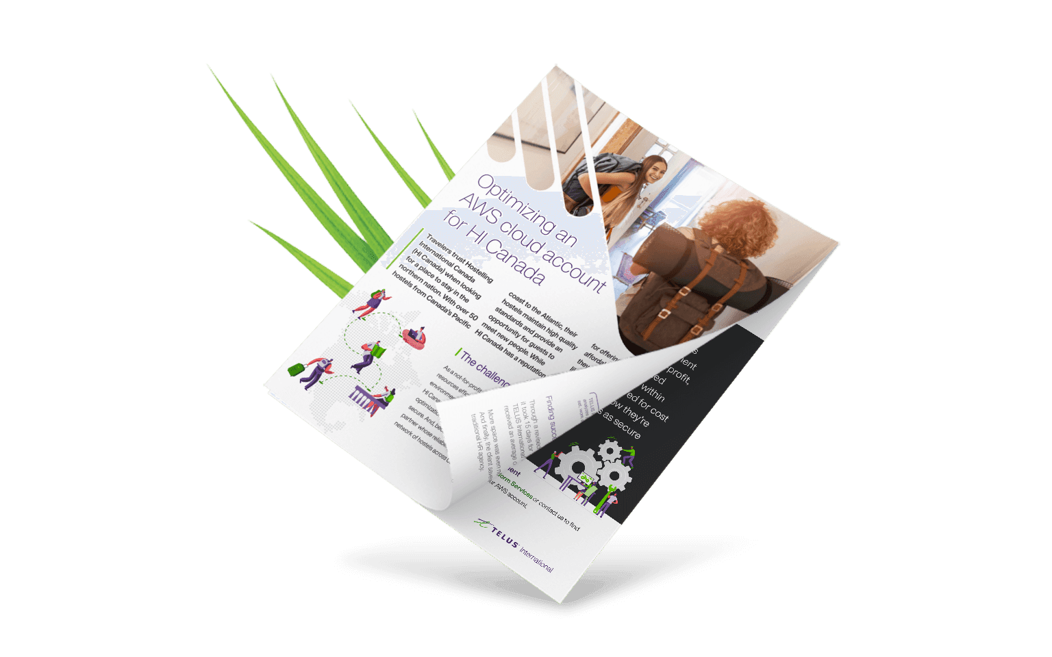 Preview of case study