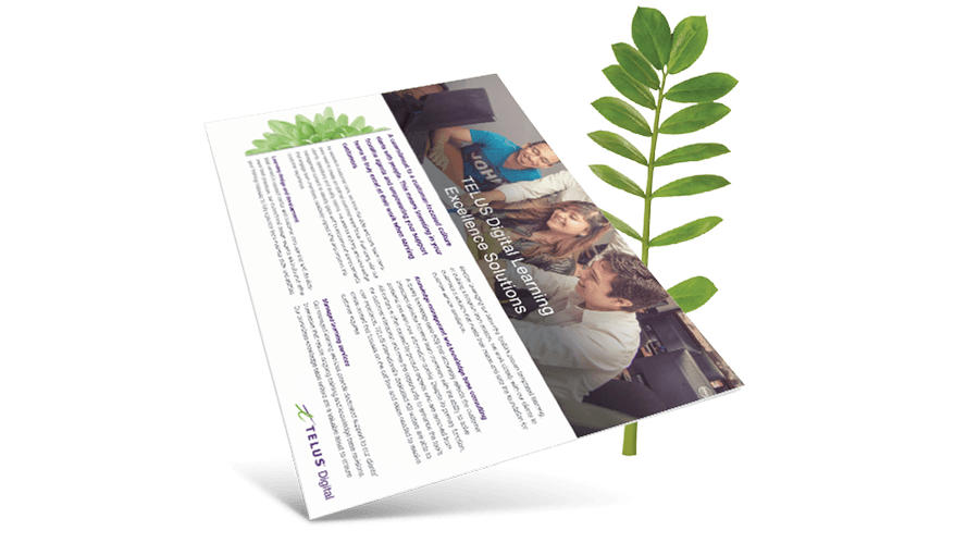 Learning Excellence Solutions brochure cover in front of a fern leaf.