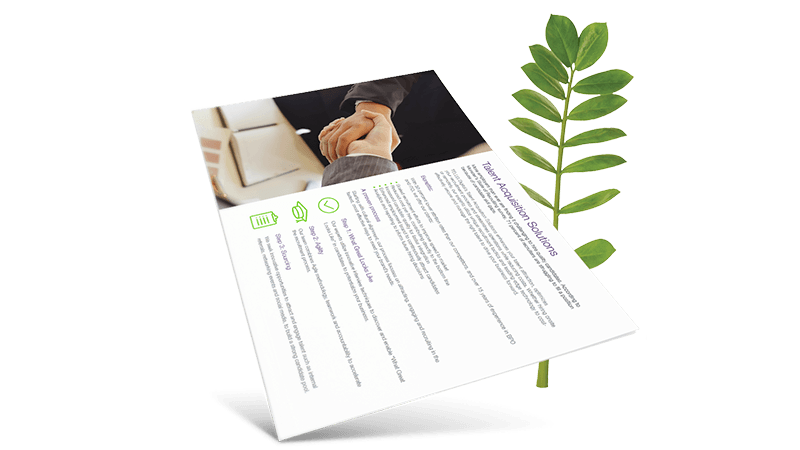 Talent Acquisition Solutions brochure cover in front of a fern leaf.