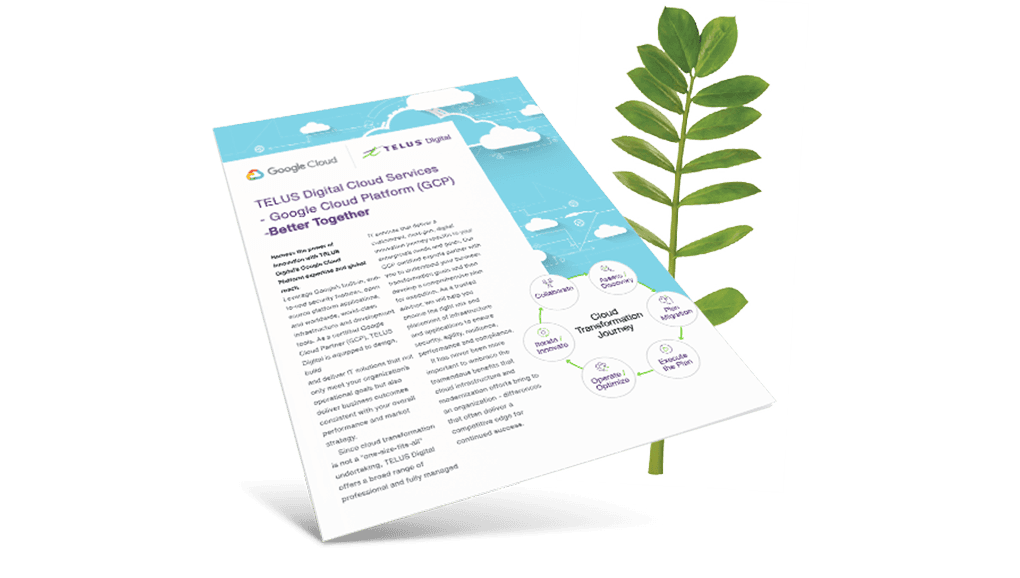 TELUS Digital Cloud Services - GCP brochure cover in front of a fern leaf.