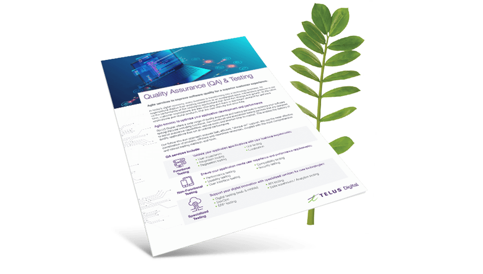 Quality Assurance (QA) & Testing brochure cover in front of a fern leaf.